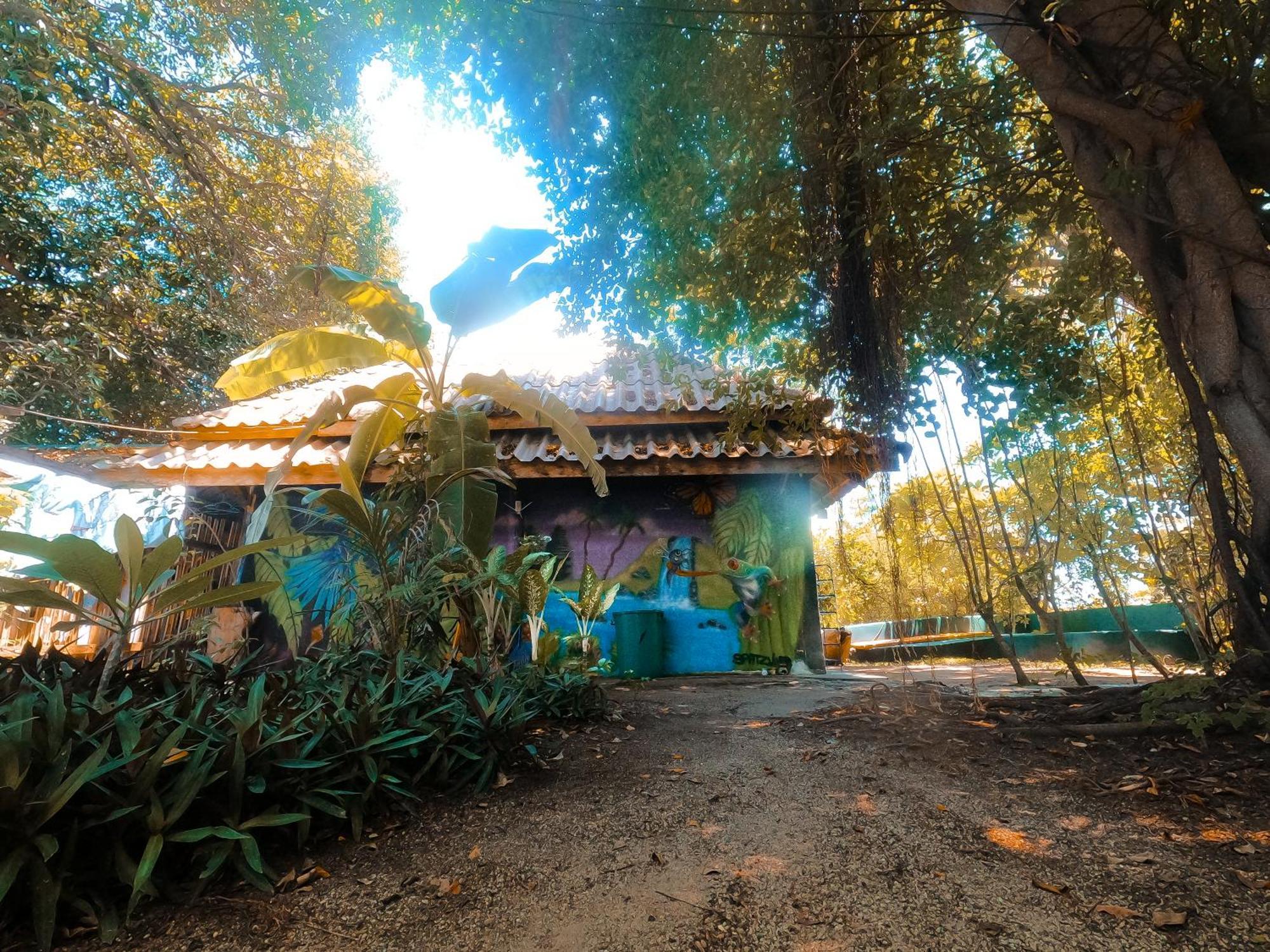 Moov Inn Garden Hostel Ko Tao Exteriér fotografie